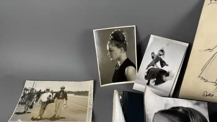 Bilder Nachlass des Verstorbenen Opern Sängers van Ginkel – Bild 6