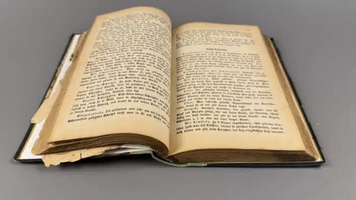 drei alte Kochbücher - Süddeutsche Küche aus 1875 – Bild 6