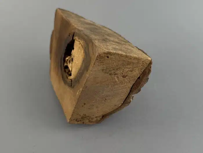 Switbert Lobisser - Aus persönlichem Besitz - Kuriose Holzschnitzerei "Gebiss" L 20 cm 10x10 cm – Bild 4