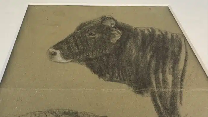 Switbert Lobisser - Kohle Zeichnung Deckweiss - Montafoner Stier betitelt datiert März 1913 Nachlass  Stempel – Bild 3