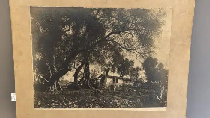 Foto Bauernhof Bauer mit Kind 40 x 30 cm – Bild 2