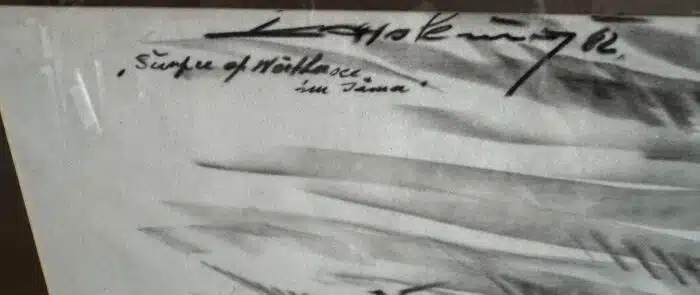 Franz Kaplenig "Surfen am Wörthersee" Aquarellierte Kohlezeichnung signiert datiert 82  99 x 74 cm – Bild 5