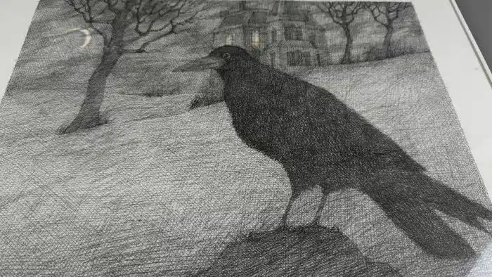 PAUL FLORA Druck signiert 50x40 cm: Rabe Zu Edgar Allan Poe mit Rahmen – Bild 2