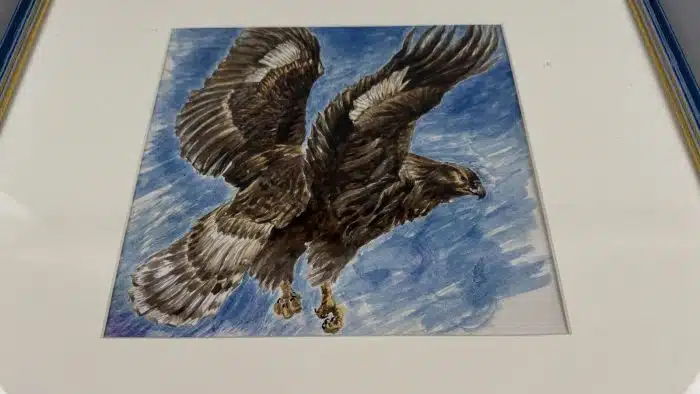 Aquarell mit Adler 47x45 cm verglast und gerahmt – Bild 2