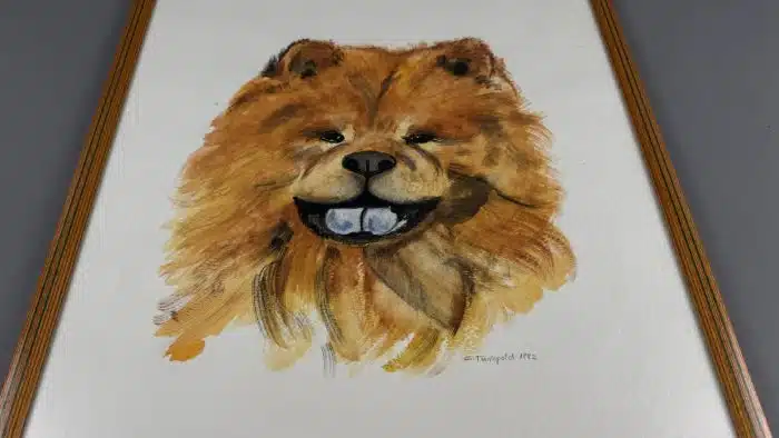 Aquarell mit  Chow Chow 60x47 cm signiert  verglast und gerahmt – Bild 2