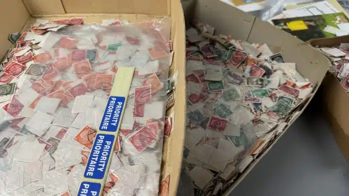 ein Posten Briefmarken - lose - siehe Bilder – Bild 3