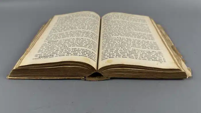 Süddeutsche Küche von 1922 Katharina Prato – Bild 6