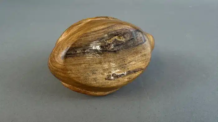 Switbert Lobisser - Aus persönlichem Besitz -  Bemalte Holz Ente L 11 cm – Bild 4