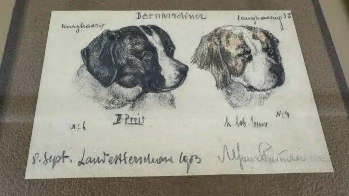 Alfons Purtscher (Klagenfurt 1885-1962 London) Zeichnung Berhardiner signiert, datiert, verglast, gerahmt – Bild 2