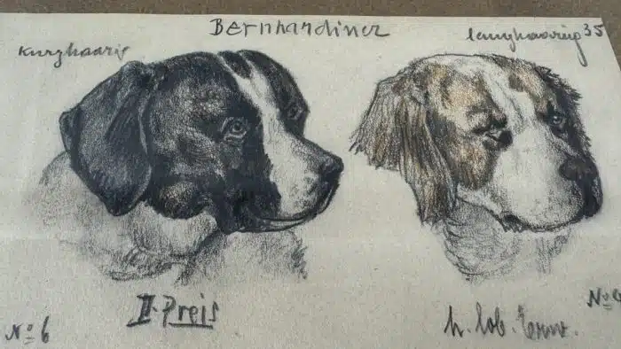 Alfons Purtscher (Klagenfurt 1885-1962 London) Zeichnung Berhardiner signiert, datiert, verglast, gerahmt – Bild 4