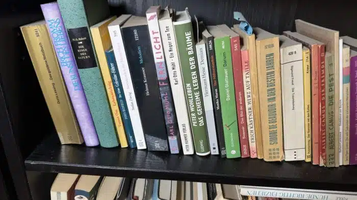 Bücherregal Holz mit Inhalt ( siehe Bilder ) – Bild 7