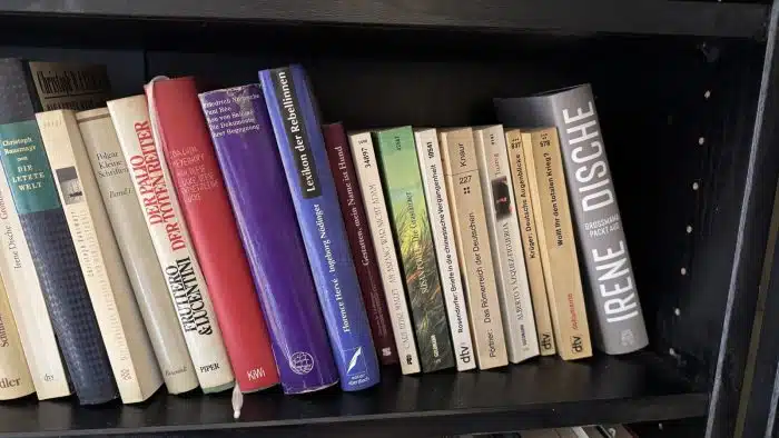 Bücherregal Holz mit Inhalt ( siehe Bilder ) – Bild 4