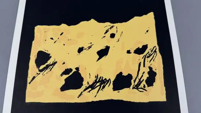 Gustav Janus (Zell-Pfarre/Ktn.1939 geb.) Lithographie 42 x 29,5 signiert datiert 1993 – Bild 4