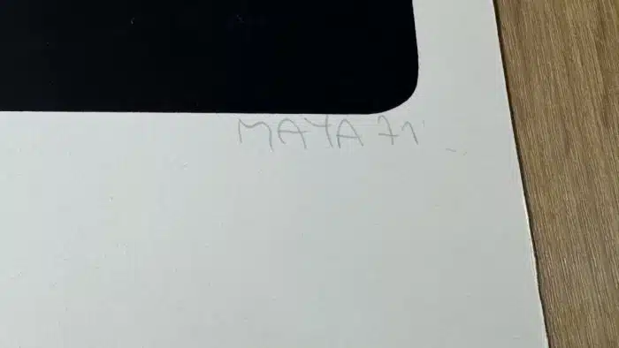 Heinz Peter Maya (Villach 1944 geb.) Lithographie 28/50 - signiert, datiert 1971 61 x 48,5 cm – Bild 2