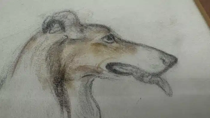 Ludwig Heinrich Jungnickel (Wunsiedel 1881-1965 Wien) Aquarell „ Collie “ 52 x 45 cm Bl. 35,5 cm mit Bleistift signiert datiert – Bild 5