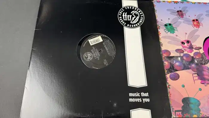 Posten  Schallplatten ausgefallene Stücke Siehe Bilder – Bild 6
