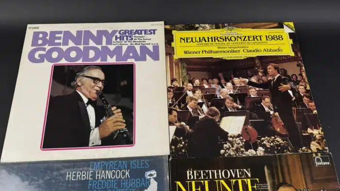 Posten  Schallplatten ausgefallene Stücke Siehe Bilder – Bild 8