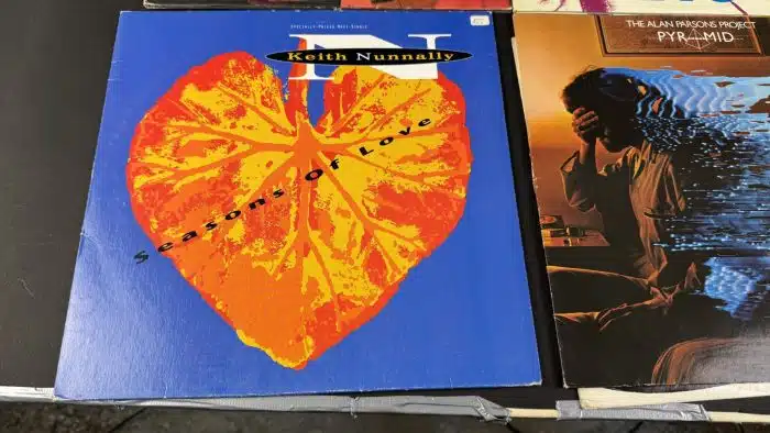Posten  Schallplatten ausgefallene Stücke Siehe Bilder – Bild 5