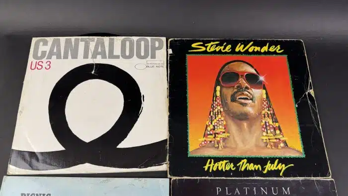 Posten  Schallplatten ausgefallene Stücke Siehe Bilder – Bild 7