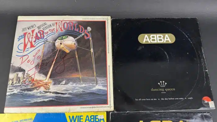 Posten  Schallplatten ausgefallene Stücke Siehe Bilder – Bild 7