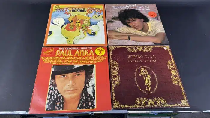 Posten  Schallplatten ausgefallene Stücke Siehe Bilder – Bild 6