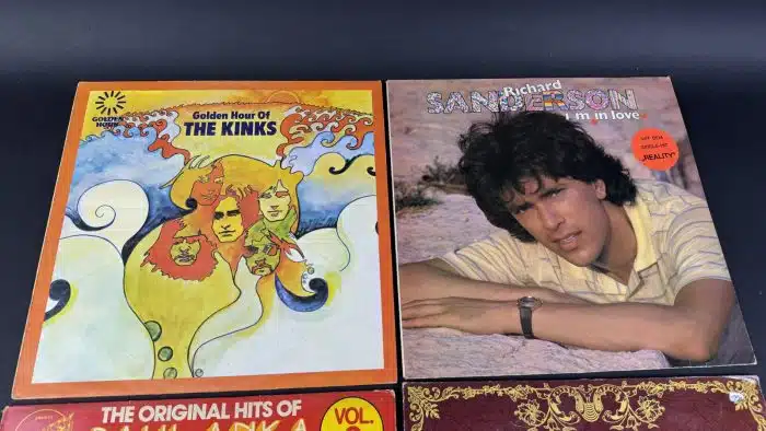 Posten  Schallplatten ausgefallene Stücke Siehe Bilder – Bild 7