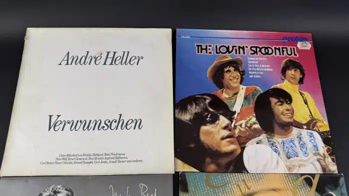 Posten  Schallplatten ausgefallene Stücke Siehe Bilder – Bild 7