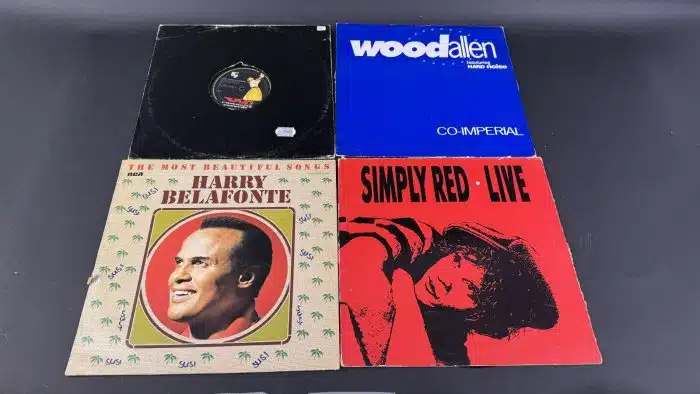 Posten  Schallplatten ausgefallene Stücke Siehe Bilder – Bild 7
