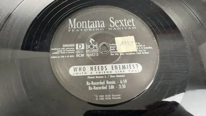Posten  Schallplatten ausgefallene Stücke Siehe Bilder – Bild 6
