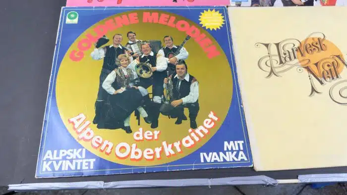 Posten  Schallplatten ausgefallene Stücke Siehe Bilder – Bild 5