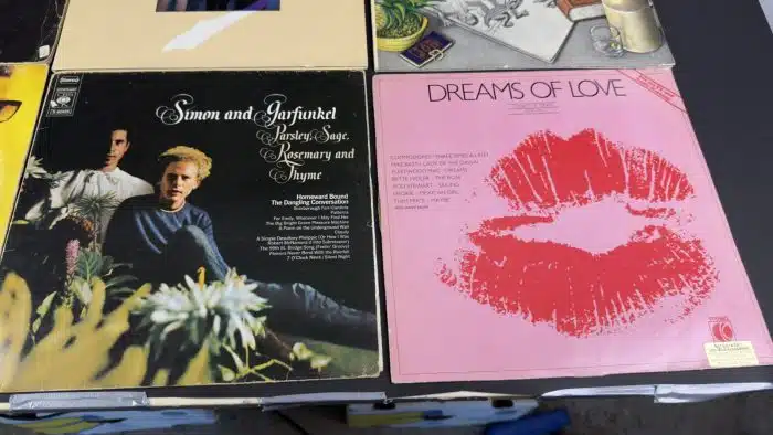 Posten  Schallplatten ausgefallene Stücke Siehe Bilder – Bild 4