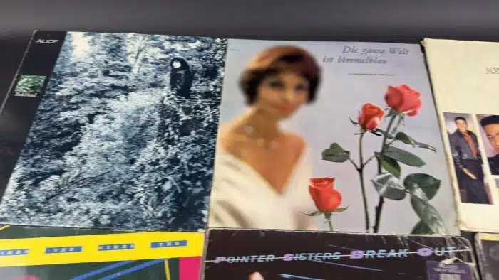 Posten  Schallplatten ausgefallene Stücke Siehe Bilder – Bild 2