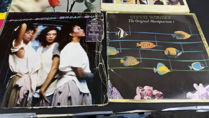 Posten  Schallplatten ausgefallene Stücke Siehe Bilder – Bild 4