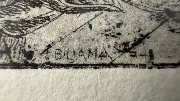 Biljana Unkovska Grafik 3/10  signiert 38x49 cm Blatt 32x25 cm – Bild 5
