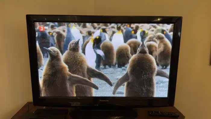Panasonic Fernseher Diag. 106 cm tx-p42x25e mit Intenso - Externe Festplatte und NABO TV-Receiver – Bild 2