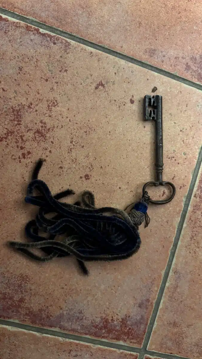 Provinzieller Barockhallenschrank, massiver Korpus, braun mattiert, mit gewunden gedrechselten Säulen geziert, in feiner Qualität ornamental sowie in Form Rranken, 2 Türen, 2 Laden, Schloss, Schlüssel, guter Allgemeinzustand mit schöner Patina, kleinere Teile zu ergänzen, Füße zu restaurieren, mit der Bitte um Besichtigung – Bild 26